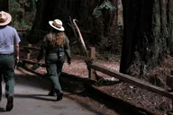 San Francisco Muir Woods & Golden Gate Bike Tour thumbnail 2