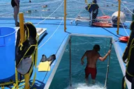 Miami Key West Boat Tour with Snorkeling and Open Bar thumbnail 2