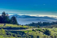 San Francisco Muir Woods and Meadery Tour thumbnail 5