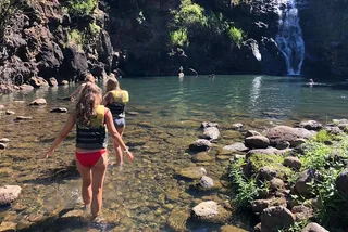 Oahu Surf and Sea Turtles Tour