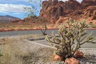 Las Vegas Valley of Fire and Red Rock Canyon Tour thumbnail 4