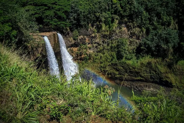 Kauai Private Guided Tour Waimea Canyon from Lihue - Image 4