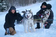 Fairbanks Dog Sledding with Free Photo 90 min thumbnail 3