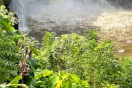 Hilo Volcanoes National Park Tour thumbnail 2