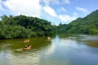 Kailua River Kayak Tour thumbnail 6
