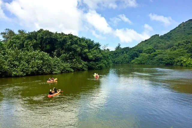 Kailua River Kayak Tour - Image 6