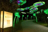 Sanford Zoo and Botanical Gardens Admission thumbnail 4