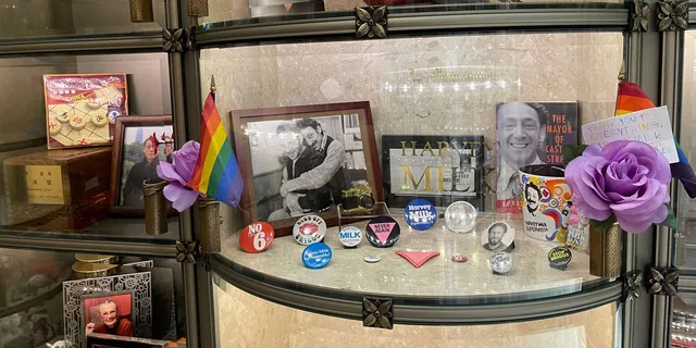 San Francisco Castro District LGBTQ+ History Tour - Image 6