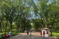 New York Central Park Puzzle Adventure thumbnail 6