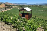 San Francisco Wine Tour with 2 Tastings Half-Day thumbnail 2
