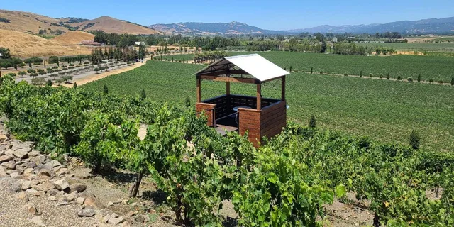 San Francisco Wine Tour with 2 Tastings Half-Day - Image 2