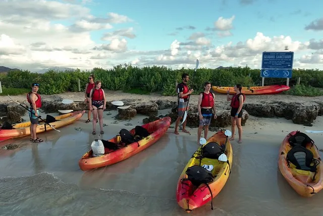 Kailua Bay Kayak Tour to Popoia Island - Image 4