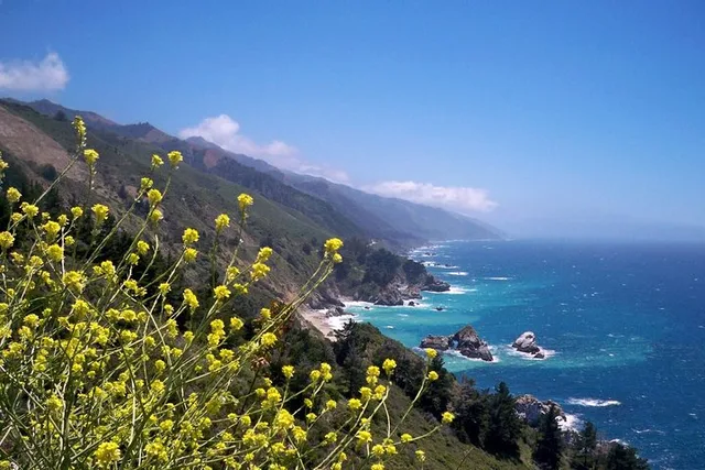 San Jose Big Sur and Monterey Coast Tour - Image 1