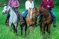 Waco Horseback Riding Tour with Cowboy Guide thumbnail 1
