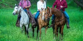 Waco Horseback Riding Tour with Cowboy Guide