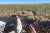 Miami Everglades Airboat Tour with Hotel Pickup thumbnail 5