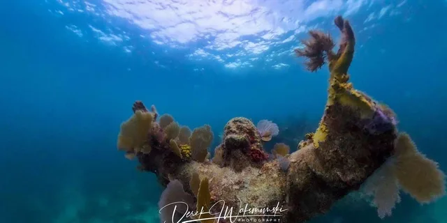 Key Largo Snorkeling Trip - Image 5