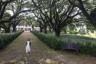 Whitney Plantation Tour with Transportation thumbnail 6