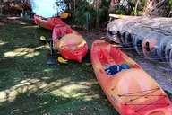 Merritt Island Fishing Kayak Rentals 4 hr thumbnail 4