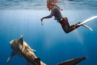 Oahu Shark Dive Educational Tour thumbnail 6