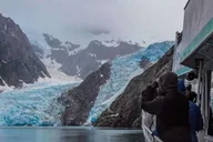 Seward Fjord Glacier & Wildlife Tour 8 hr thumbnail 5