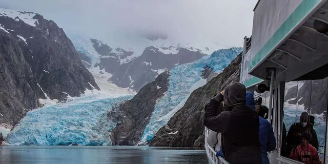 Seward Fjord Glacier & Wildlife Tour 8 hr - Image 5