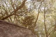 Nashville Belle Meade Historic Site Tour thumbnail 4