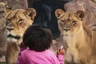 Phoenix Zoo General Admission Ticket thumbnail 1