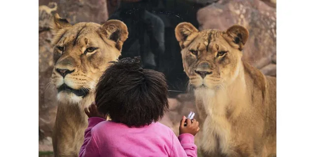 Phoenix Zoo General Admission Ticket - Image 1