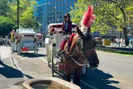 New York Central Park Horse Carriage Ride thumbnail 4