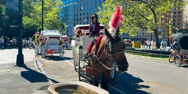 New York Central Park Horse Carriage Ride - Image 4