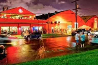 New Orleans Irish Channel Party Bike Bar Crawl 2 hr thumbnail 5