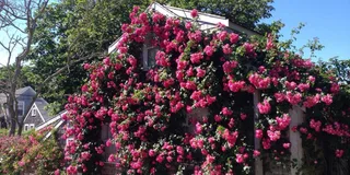 Nantucket Historical Landmarks Tour