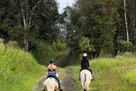 Pāhoa Rainforest Trail Ride thumbnail 4