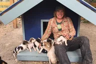 Skagway Husky Puppy Play Time & Summit Tour thumbnail 3