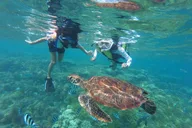 Honolulu Snorkeling Adventure thumbnail 2