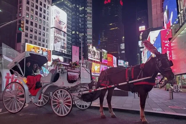 New York City Central Park Horse Carriage Tour - Image 2
