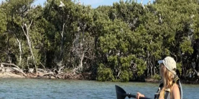 Tarpon Springs Clear Kayak Tour - Image 2