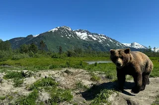 Anchorage Turnagain Arm and Portage Valley Tour