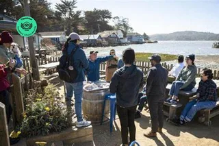 San Francisco Vineyards and Wine Tour 5 Days