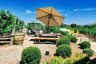 Santa Barbara Wine Tasting Tour from Los Angeles