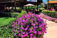 Los Angeles Temecula Wine Tour thumbnail 2