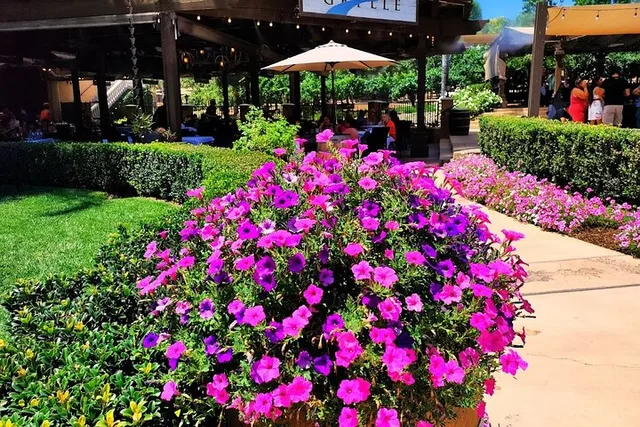 Los Angeles Temecula Wine Tour - Image 2