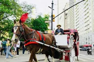 New York City Central Park Horse and Carriage Tour thumbnail 1