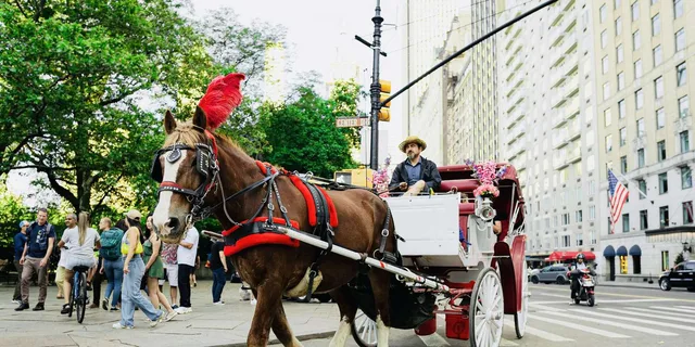 New York City Central Park Horse and Carriage Tour - Image 1