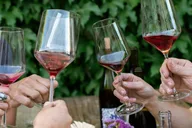 Sebastopol Wine Tasting with Local Sommelière 3 hr thumbnail 4
