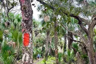 Florida Backcountry Day Hike thumbnail 1