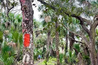 Florida Backcountry Day Hike