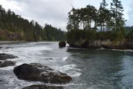 Port Angeles Olympic National Park Half-Day Tour thumbnail 5