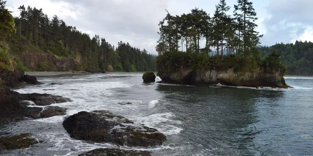 Port Angeles Olympic National Park Half-Day Tour - Image 5